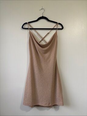 Dynamite Shimmer Cowl Neck Open Back Mini Dress